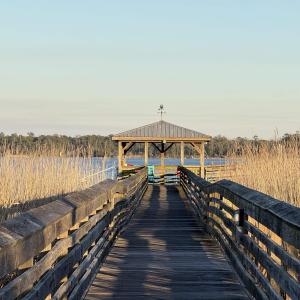 Photo #6 of Lot 68 and 69 Milton Circle, Georgetown, SC 0.6 acres