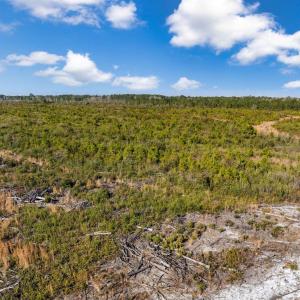 Photo #17 of TBD Fifteen Mile Bay Rd., Nichols, SC 100.0 acres