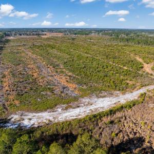 Photo #10 of TBD Fifteen Mile Bay Rd., Nichols, SC 100.0 acres