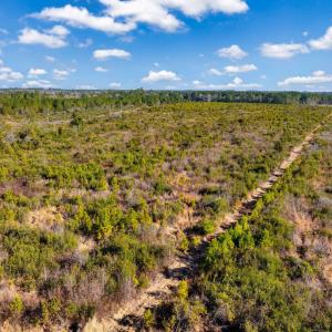 Photo #7 of TBD Fifteen Mile Bay Rd., Nichols, SC 100.0 acres