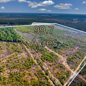 Photo #1 of 100 Acres Fifteen Mile Bay Rd., Nichols, SC 100.0 acres