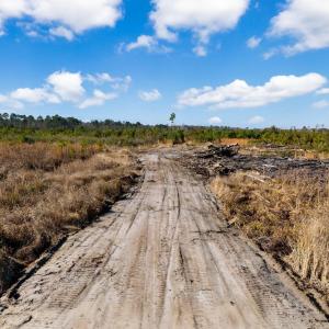 Photo #18 of 100 Acres Fifteen Mile Bay Rd., Nichols, SC 100.0 acres