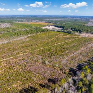 Photo #8 of 100 Acres Fifteen Mile Bay Rd., Nichols, SC 100.0 acres