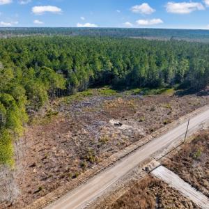 Photo #19 of 100 Acres Fifteen Mile Bay Rd., Nichols, SC 100.0 acres