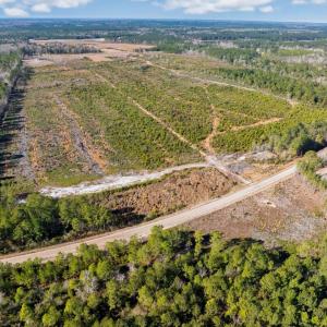 Photo #22 of 100 Acres Fifteen Mile Bay Rd., Nichols, SC 100.0 acres