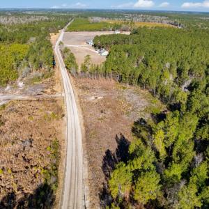 Photo #21 of 100 Acres Fifteen Mile Bay Rd., Nichols, SC 100.0 acres