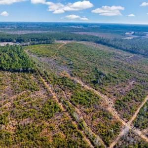 Photo #5 of 100 Acres Fifteen Mile Bay Rd., Nichols, SC 100.0 acres