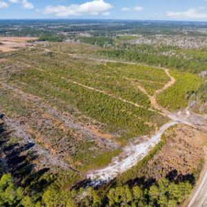 Photo #9 of 100 Acres Fifteen Mile Bay Rd., Nichols, SC 100.0 acres