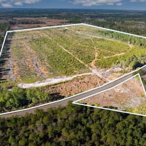 Photo #2 of 100 Acres Fifteen Mile Bay Rd., Nichols, SC 100.0 acres