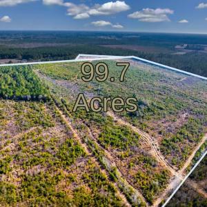 Photo #1 of 100 Acres Fifteen Mile Bay Rd., Nichols, SC 100.0 acres
