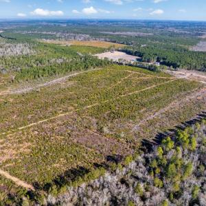 Photo #3 of 100 Acres Fifteen Mile Bay Rd., Nichols, SC 100.0 acres