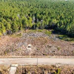 Photo #20 of 100 Acres Fifteen Mile Bay Rd., Nichols, SC 100.0 acres