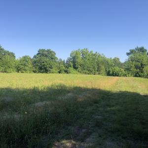 Photo #8 of TBD Vantage Ln, Moncks Corner, SC 79.0 acres