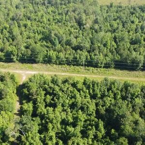 Photo #4 of TBD Vantage Ln, Moncks Corner, SC 79.0 acres