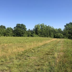 Photo #1 of TBD Vantage Ln, Moncks Corner, SC 79.0 acres