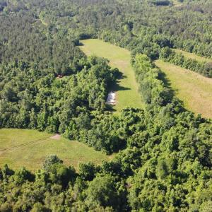 Photo #5 of TBD Vantage Ln, Moncks Corner, SC 79.0 acres