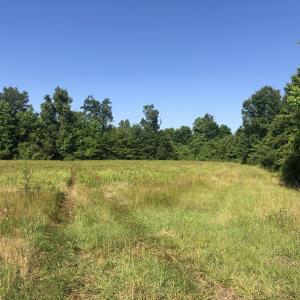 Photo #12 of TBD Vantage Ln, Moncks Corner, SC 79.0 acres