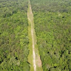 Photo #15 of TBD Vantage Ln, Moncks Corner, SC 79.0 acres