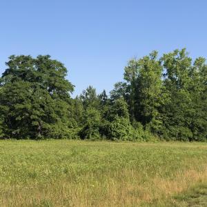 Photo #9 of TBD Vantage Ln, Moncks Corner, SC 79.0 acres