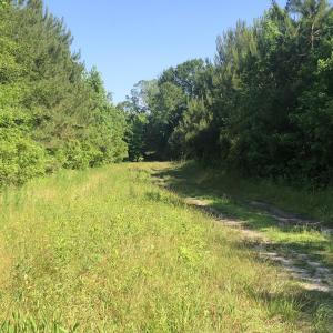 Photo #16 of TBD Vantage Ln, Moncks Corner, SC 79.0 acres