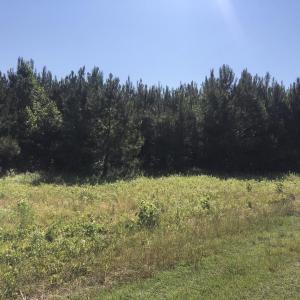 Photo #13 of TBD Vantage Ln, Moncks Corner, SC 79.0 acres