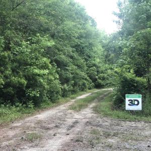 Photo #14 of TBD Vantage Ln, Moncks Corner, SC 79.0 acres