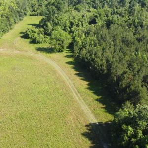 Photo #7 of TBD Vantage Ln, Moncks Corner, SC 79.0 acres