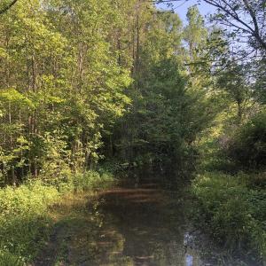 Photo #11 of TBD Vantage Ln, Moncks Corner, SC 79.0 acres