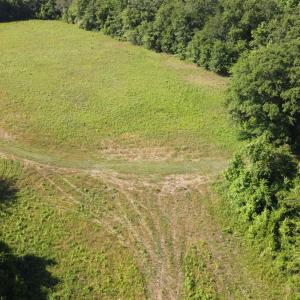 Photo #6 of TBD Vantage Ln, Moncks Corner, SC 79.0 acres