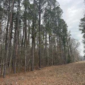 Photo #21 of TBD Hunters Chapel Rd, Ehrhardt, SC 736.0 acres