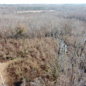 Photo #7 of TBD Hunters Chapel Rd, Ehrhardt, SC 736.0 acres