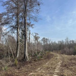 Photo #50 of TBD Hunters Chapel Rd, Ehrhardt, SC 736.0 acres
