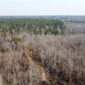 Photo #3 of TBD Hunters Chapel Rd, Ehrhardt, SC 736.0 acres