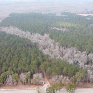 Photo #2 of TBD Hunters Chapel Rd, Ehrhardt, SC 736.0 acres