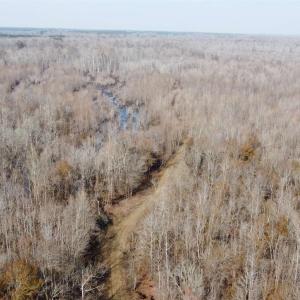 Photo #5 of TBD Hunters Chapel Rd, Ehrhardt, SC 736.0 acres