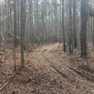 Photo #25 of TBD Hunters Chapel Rd, Ehrhardt, SC 736.0 acres