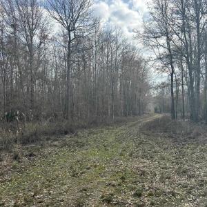 Photo #32 of TBD Hunters Chapel Rd, Ehrhardt, SC 736.0 acres