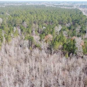 Photo #8 of TBD Hunters Chapel Rd, Ehrhardt, SC 736.0 acres