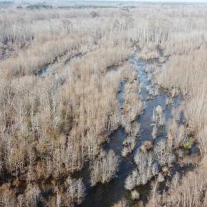 Photo #6 of TBD Hunters Chapel Rd, Ehrhardt, SC 736.0 acres