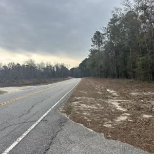 Photo #18 of TBD Hunters Chapel Rd, Ehrhardt, SC 736.0 acres