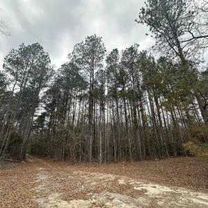 Photo #20 of TBD Hunters Chapel Rd, Ehrhardt, SC 736.0 acres