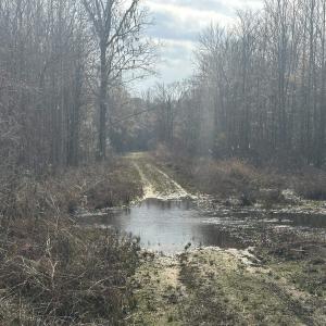 Photo #30 of TBD Hunters Chapel Rd, Ehrhardt, SC 736.0 acres