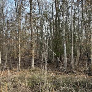 Photo #53 of TBD Hunters Chapel Rd, Ehrhardt, SC 736.0 acres