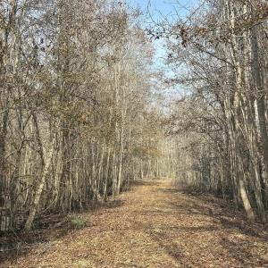 Photo #40 of TBD Hunters Chapel Rd, Ehrhardt, SC 736.0 acres