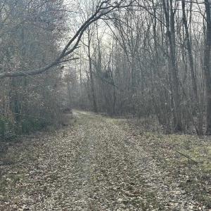 Photo #29 of TBD Hunters Chapel Rd, Ehrhardt, SC 736.0 acres