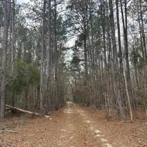Photo #22 of TBD Hunters Chapel Rd, Ehrhardt, SC 736.0 acres
