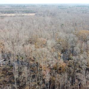 Photo #16 of TBD Hunters Chapel Rd, Ehrhardt, SC 736.0 acres