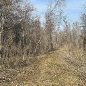Photo #36 of TBD Hunters Chapel Rd, Ehrhardt, SC 736.0 acres