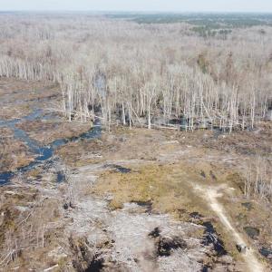 Photo #15 of TBD Hunters Chapel Rd, Ehrhardt, SC 736.0 acres