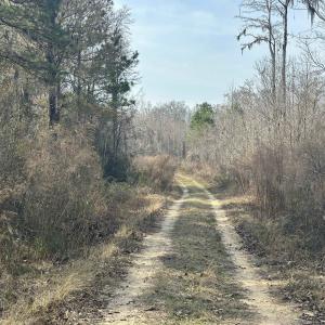 Photo #34 of TBD Hunters Chapel Rd, Ehrhardt, SC 736.0 acres
